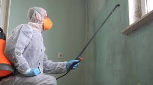 Biohazard Mold Removal in North New Hyde Park, NY