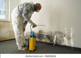 Professional Mold Prevention & Removal  in North New Hyde Park, NY